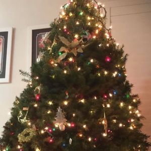 Meet your Posher, Lynn